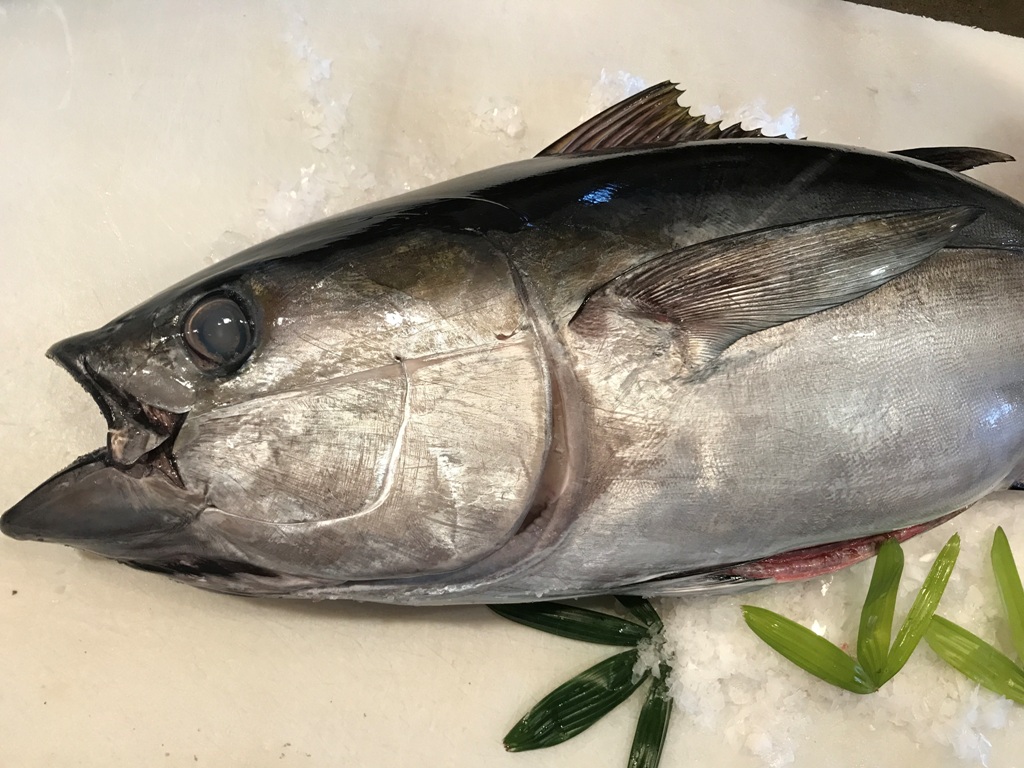 丸水｜鮮魚1課 – 白河市公設地方卸売市場